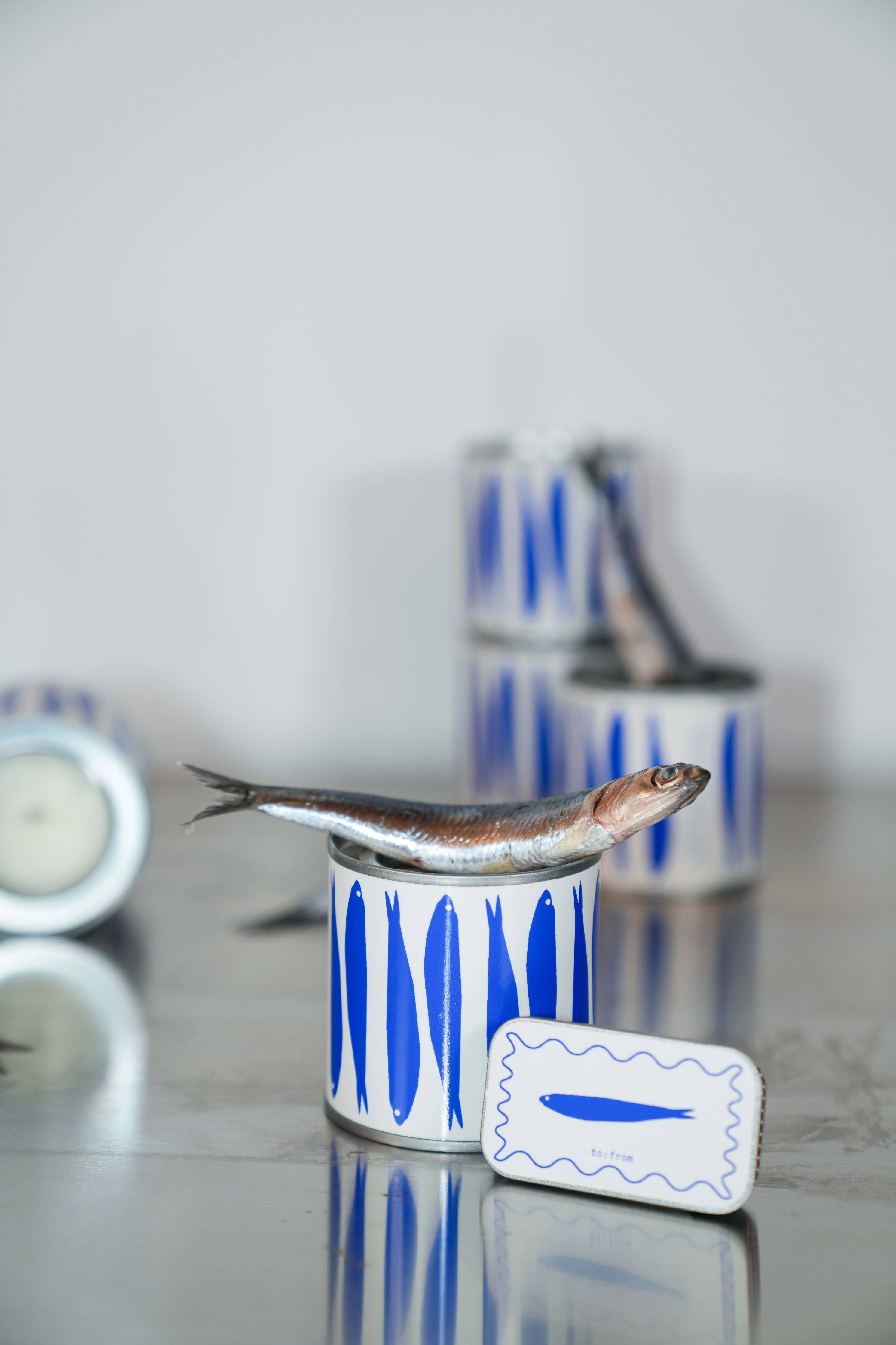 Bougie SARDINES (sel de mer)