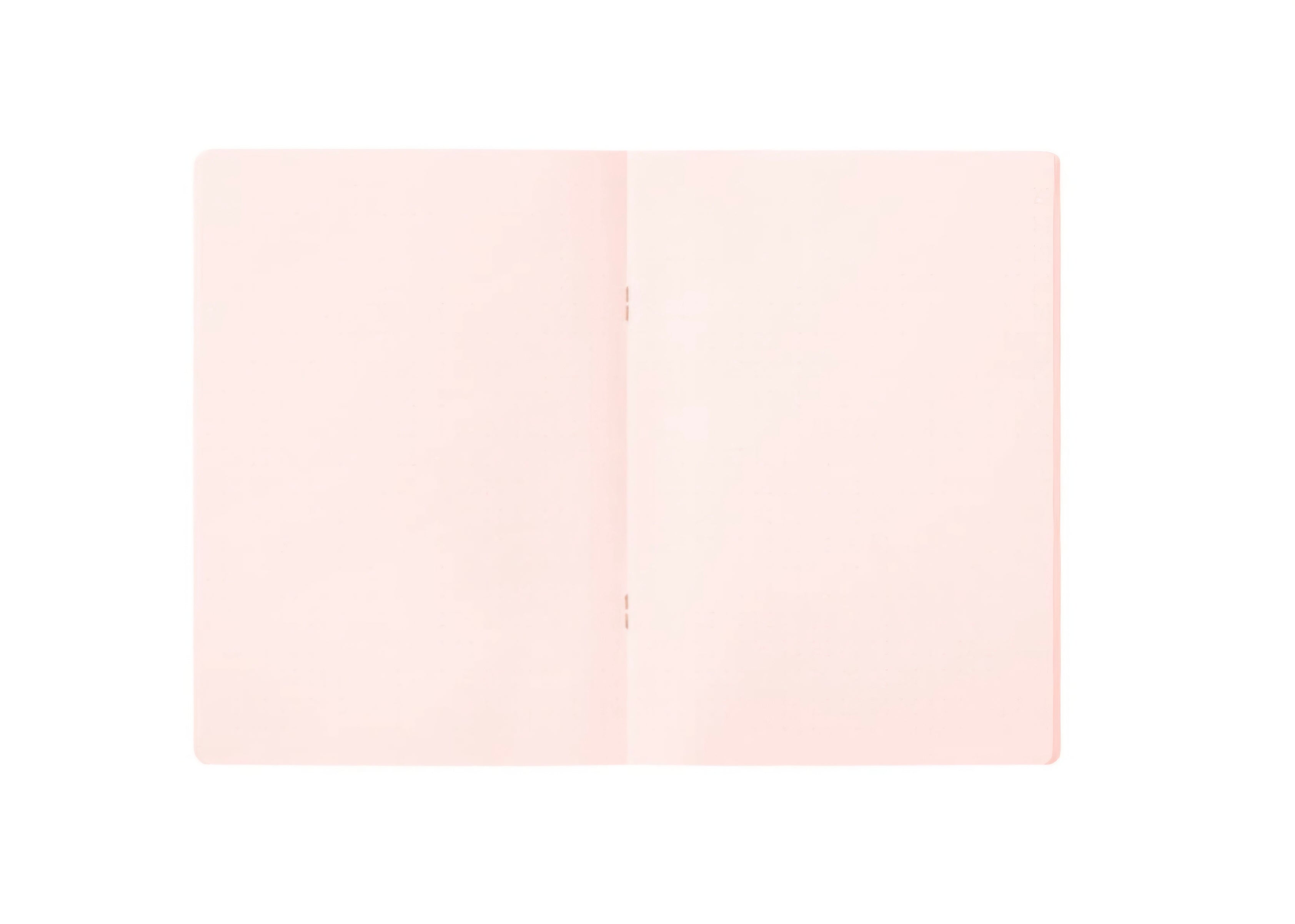 Cahier à spirales quadrillage à points roses